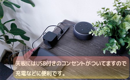 【開梱・設置】アースUSBコンセント付き Tバタカウンター（グレー）　AX131