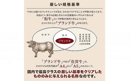 【定期便6回】佐賀牛A5ロースステーキ600g 偶数月発送 全6回 定期便 _f-38