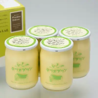 ランキング第2位獲得！別海町産マスカルポーネチーズ使用 デリスプリン計480g 120g×4本 プリン 北海道