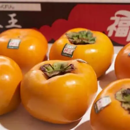 【先行受付】福岡オリジナルブランド　甘柿 秋王(あきおう)　約3kg箱(大牟田市)_果物・フルーツ 柿（カキ）  かき_【配送不可地域：離島】【1217265】