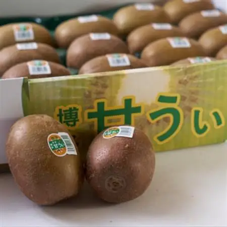 【先行受付】福岡オリジナルブランド　キウイ「甘うぃ」約3kg箱(24-33玉)(大牟田市)_果物・フルーツ キウイ  きうい_【配送不可地域：離島】【1217267】