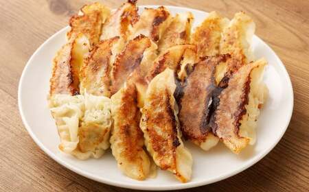 【餃子と水餃子】 セット (はちやの餃子15個／まんまるもちもち水餃子30個) 冷凍 【04203-0455】 5037886 餃子 ぎょうざ 水餃子 惣菜