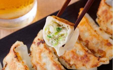 【高島屋選定品】 はちやの餃子セット 塩竈市×高島屋コラボ 宮城県【04203-0356】 