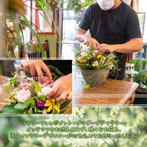 isa291 おまかせプリザーブドフラワーアレンジメント(約 高さ16×幅12×奥行12cm)インテリア ギフト ブリザーブドフラワー 誕生日 プレゼント 花 お誕生日 お祝い 退職祝い お見舞い 還暦祝い ギフト お花 アレンジメント【福岡生花】