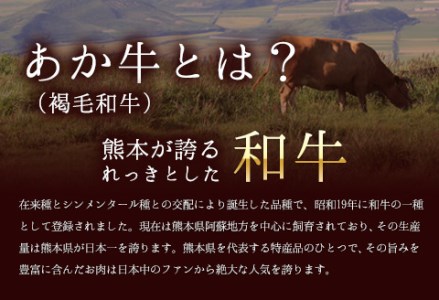 牛肉 あか牛 サーロイン ステーキ 500g ( 250g × 2枚 ) 牛肉 冷凍 《30日以内に出荷予定(土日祝除く)》 訳あり 定期便 でない 冷凍庫 個別 取分け 小分け 個包装 ステーキ肉 あかうし 赤牛 あか牛丼 にも サーロインステーキ