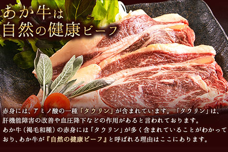 あか牛（褐毛和種）ロースステーキ (リブまたはサーロイン) 250g×2 500g 熊本県産 肉 和牛 牛肉 赤牛 あかうし リブロース サーロイン 冷凍 《30日以内に出荷予定(土日祝除く)》送料無料