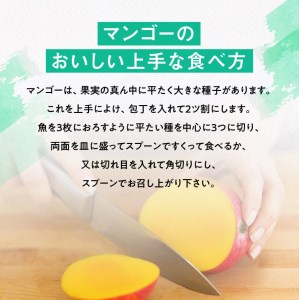 【令和8年発送】宮崎県産完熟マンゴー　三國農園　完熟マンゴー2L×3玉【令和8年発送】宮崎県産完熟マンゴー「おひさまハニーマンゴー」L×3玉 果物 マンゴー