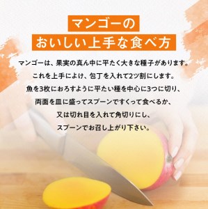 【令和8年発送】宮崎県産完熟マンゴー三國農園完熟マンゴー3L×2玉 フルーツ マンゴー