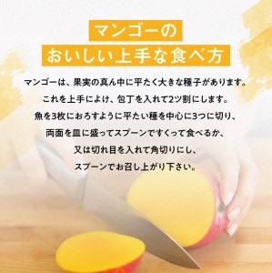 【令和8年発送】宮崎県産完熟マンゴー　三國農園　完熟マンゴー2玉（約1kg） 【 果物 フルーツ マンゴー 宮崎県産 完熟マンゴー みやざきマンゴー 】