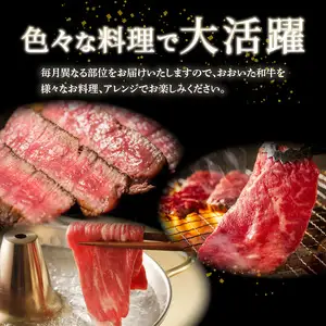 【プレミアム定期便】大分が誇る おおいた和牛・豊後牛毎月お届け定期便（12回）  T10020