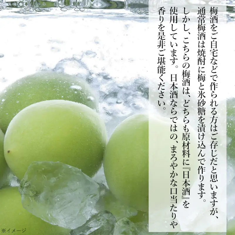 鶴岡の梅酒2本セット 佐藤屋×大山『咲くやこの花』＆羽根田酒造 羽前白梅『梅湧水』 各720ml　山形県鶴岡市 山形県酒類卸株式会社　K-843　| お酒 酒 地酒 日本酒 純米酒 純米 清酒 ご当地 名産品 特産品 アルコール セット 梅酒 リキュール