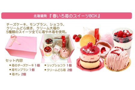 【3月中旬から発送】春限定！苺の5種スイーツセット　北海道・新ひだか町のオリジナルスイーツ ＜ 予約商品 ＞
