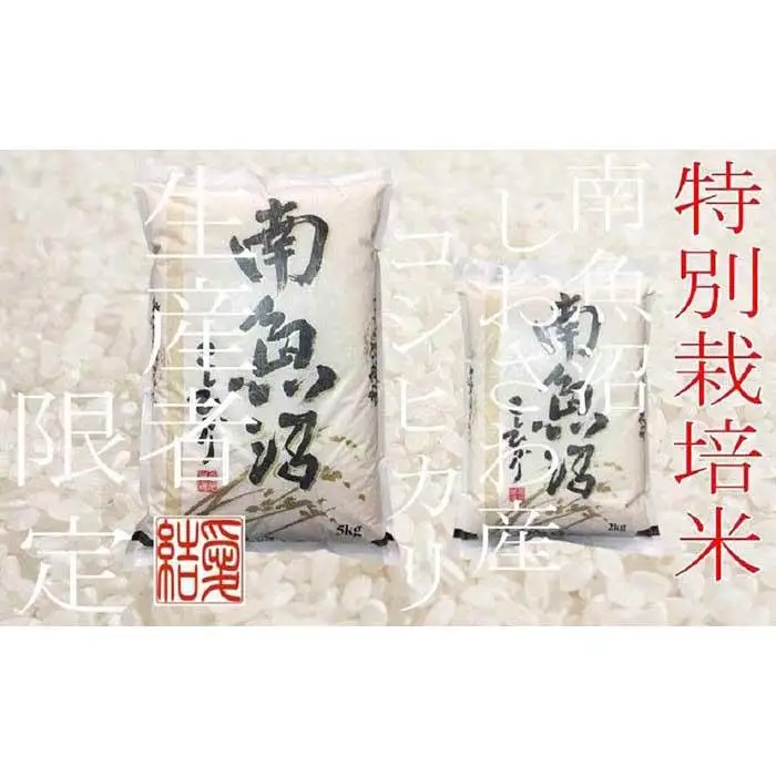 【令和7年産】【定期便4Kg×3ヶ月】【特別栽培米】 契約生産者限定  南魚沼しおざわ産コシヒカリ【定期便 銘柄米 ブランド米 精米 こしひかり コシヒカリ 魚沼産 新潟米 産地直送 お米 米 こめ コメ ご飯 御飯 ごはん】