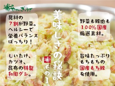 ttm144国産素材にこだわったシゲ爺のやさいぎょうざ