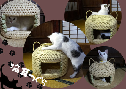 【小谷村伝統工芸品】藁で作るキャットハウス「猫つぐら」（猫耳・蓋つき）