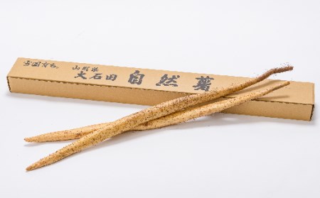 山形県産 雪国育ち自然薯 生芋1本物 1.5kg（2～4本） F2Y-5113
