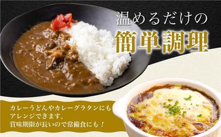 飛騨牛カレー  &トマトカレー  計12袋  | 訳あり ビーフ カレー 常温 ふるさと清見 DC004VC13