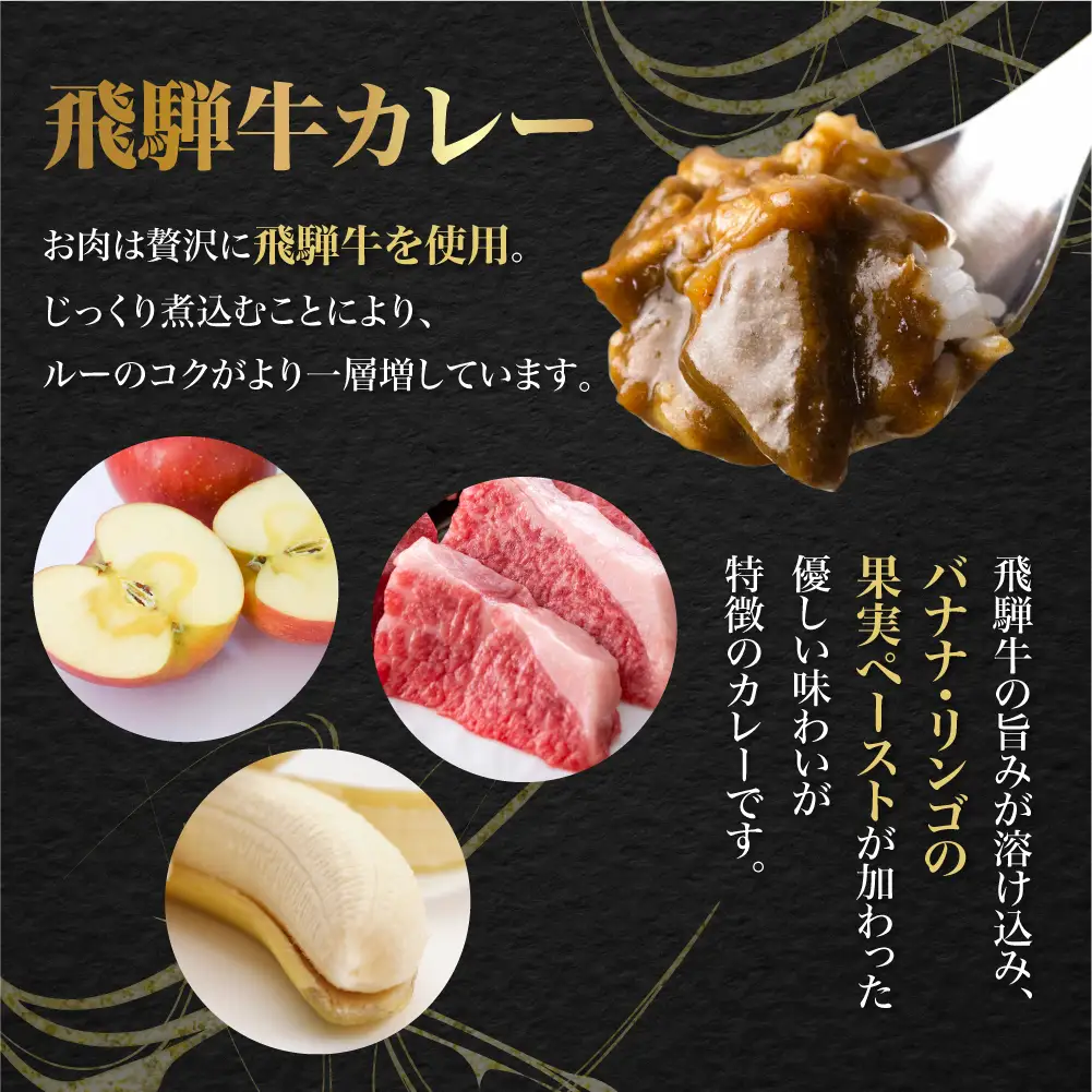 【ふるなび限定】飛騨牛カレー13袋 訳あり |  ビーフ レトルト 訳あり ふるさと清見 DC006-CP01　FN-Limited-VO