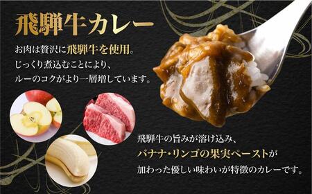 飛騨牛カレー 訳あり（160ｇ×5袋) | 訳あり カレー  ビーフ レトルト  ふるさと清見 DC005VC13