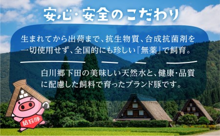 白川郷 結旨豚 ブロック肉 4種 計2kg ｜ ブロック肉   [S225]