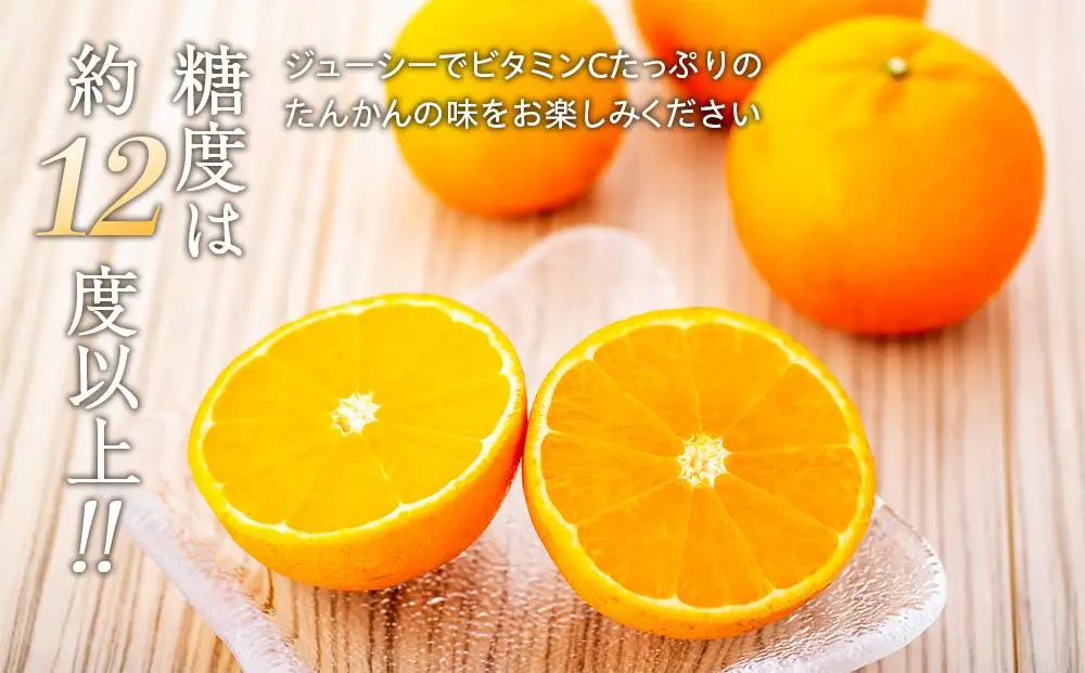 ＜先行予約／数量限定＞屋久島産たんかん 約5kg（Mサイズ／約40玉）【2027年2月中旬以降お届け】