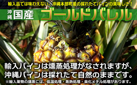パイン【2026年発送】先行予約 ゴールドバレル 3玉 （約4.0kg） パイナップル