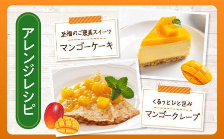 【2026年発送先行予約】《数量・期間限定》完熟！宮崎マンゴー 特秀 大玉3Lサイズ 2玉化粧箱入り 国産 マンゴー 特秀品 2玉 化粧箱 化粧箱入り 完熟 大玉 3L 冷蔵 フルーツ 果物 旬の果物 くだもの 特産品 お取り寄せ 贈答 ギフト