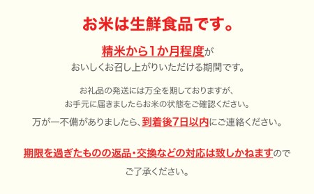 令和7年産 雪若丸 精米 10kg ja-ywxxa10