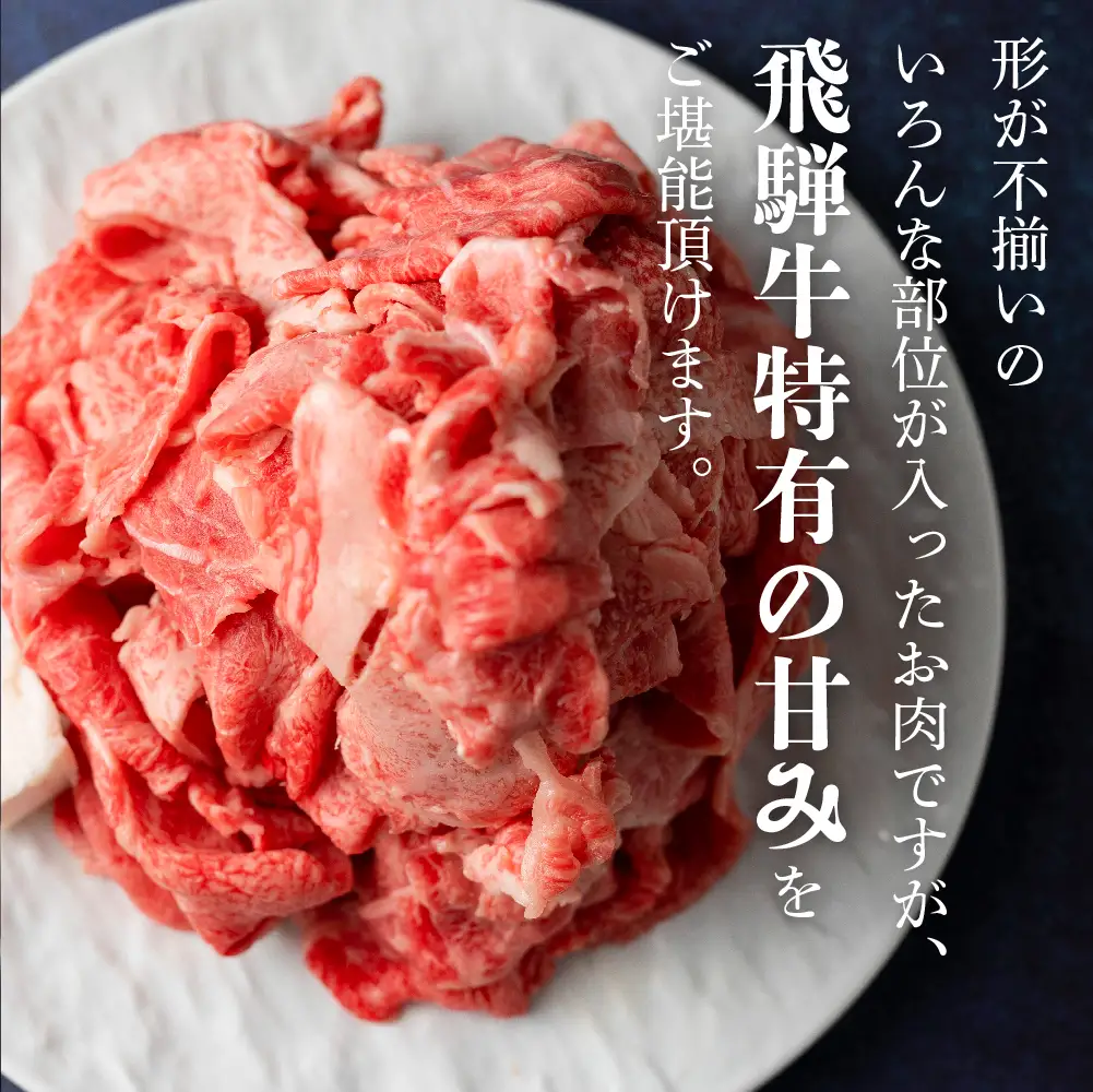 訳あり 飛騨牛切り落とし 500g |  牛肉 牛肉 BV032