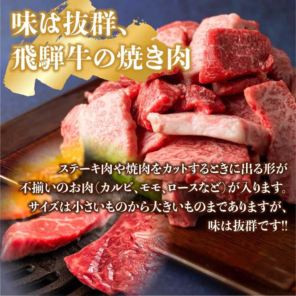 【ふるなび限定】牛肉 500g  | 牛肉 [BV031]　FN-Limited-VO