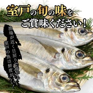 【アジの干物】 いずま海産干物 8枚