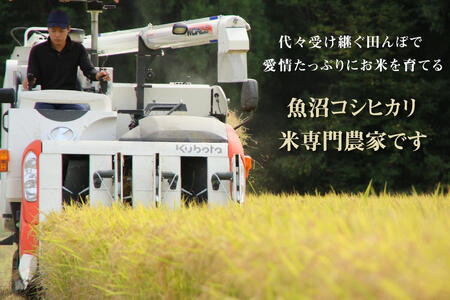 令和7年産 農家直送！ 魚沼産 コシヒカリ 無洗米 5kg （ 米 こしひかり お米 こめ コメ 魚沼産コシヒカリ 魚沼 新潟 魚沼産こしひかり おこめ 白米 精米 ） 