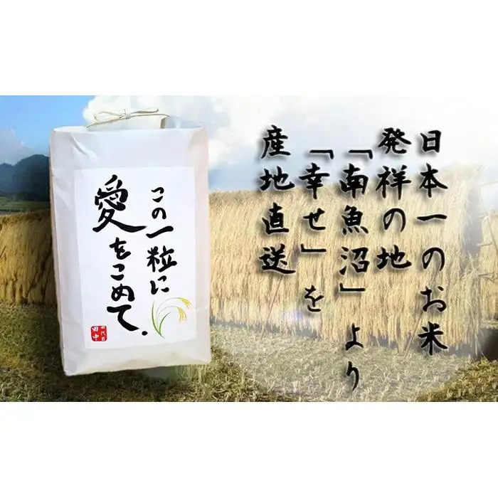 【令和7年産】この一粒に愛をこめて【四代目田中の最高傑作品】精米5kg【銘柄米 ブランド米 精米 こしひかり コシヒカリ 魚沼産 新潟米 産地直送 お米 米 こめ コメ ご飯 御飯 ごはん】