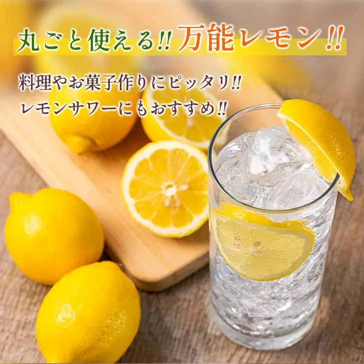 マイヤーレモン 計3kg以上 希少 国産レモン 果物 くだもの フルーツ 檸檬 柑橘 期間限定 数量限定_AV3-25