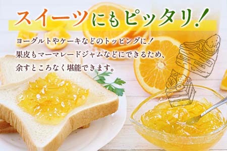 ★テレビで紹介された★ 数量限定 グレープフルーツ 月夜実 白 つくよみ 計4kg以上_BC102-24