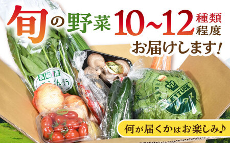 諫早のんのこ彩菜・詰め合わせ 10・12品目程度 / 季節 旬 野菜 やさい 春野菜 夏野菜 秋野菜 セット 詰め合わせ / 諫早市 / 肥前グローカル株式会社 [AHDI005]