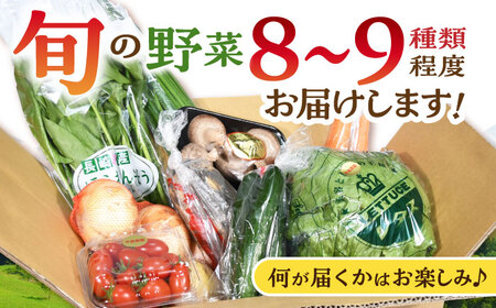 諫早産野菜の詰め合わせ 8〜9品目程度 / 季節 旬 野菜 やさい セット 春野菜 夏野菜 秋野菜 詰め合わせ / 諫早市 / 肥前グローカル株式会社[AHDI004]