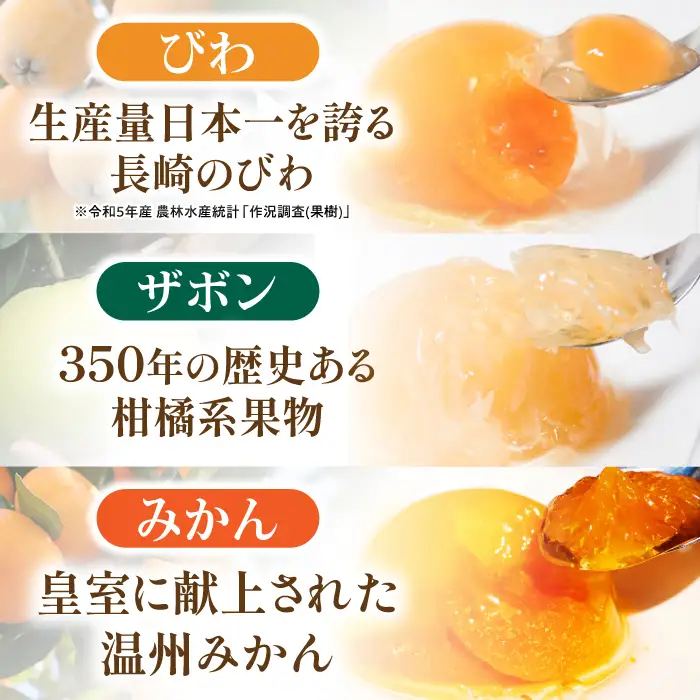 ゼリー 長崎旬彩12個入り ゼリー 贈答 AHAH001