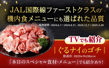 【3回定期便】＜特Aのブランド米で育てた＞諫美豚切り落とし 2.1kg / 諫美豚 豚肉 切り落とし 肉 豚 お肉 国産 人気 スライス / 諫早市 / 株式会社土井農場 [AHAD013]