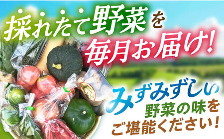 野菜 12回定期便  諫早産野菜の詰め合わせ 8～9品目程度 [AHDI003]
