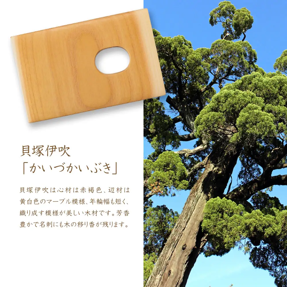 【ウッドデザイン賞 受賞商品】木工職人が作る木の名刺入れ（貝塚伊吹）
