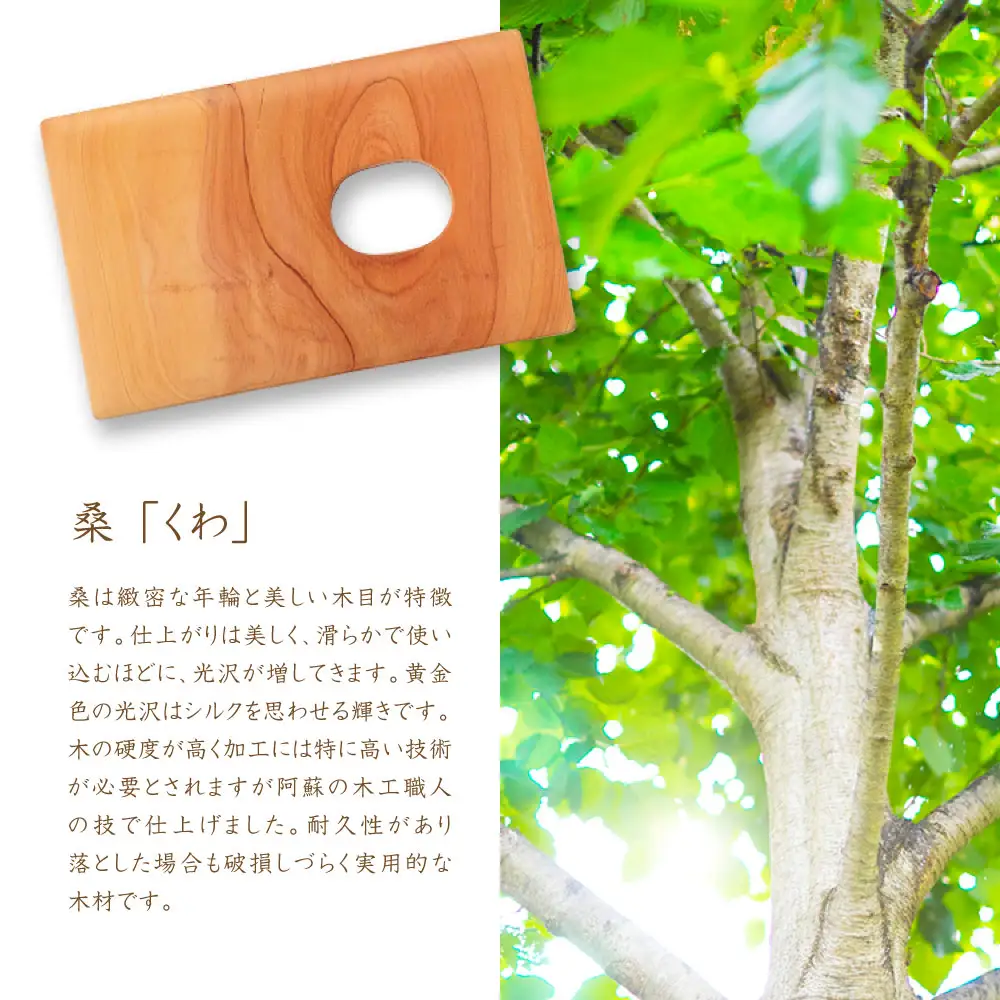 【ウッドデザイン賞 受賞商品】木工職人が作る木の名刺入れ（桑）