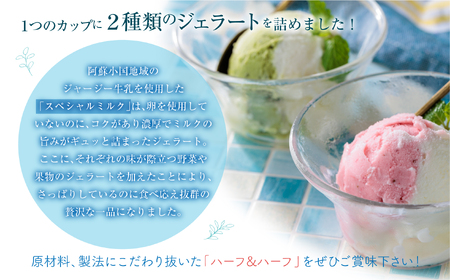 阿蘇天然アイス　ハーフ&ハーフ　8個セット