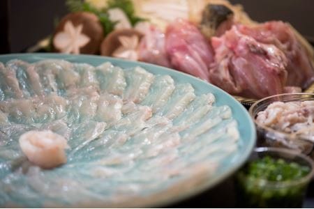 贅沢な食べ比べ！みつごの天然と養殖とらふぐセット（計６人前）［天然と養殖　各３人前］