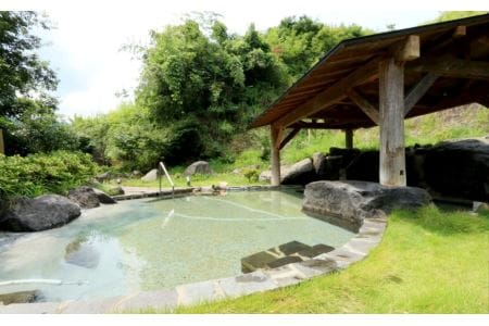 臼杵湯の里　宿泊券　３名様１室１泊２食付　≪臼杵とらふぐ堪能コース≫