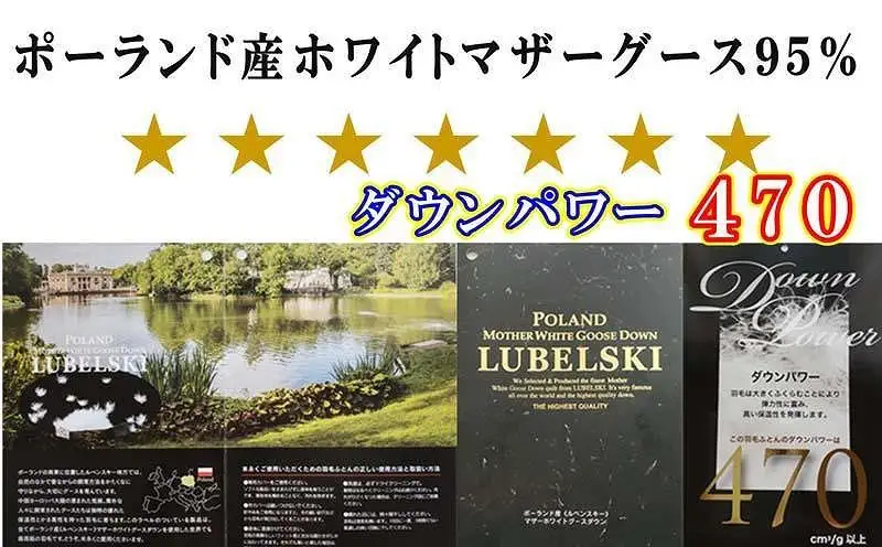 【羽毛布団 】 掛け布団 セミダブル ポーランド産マザーグース95% 120番手 ダウンパワー470【BE076】