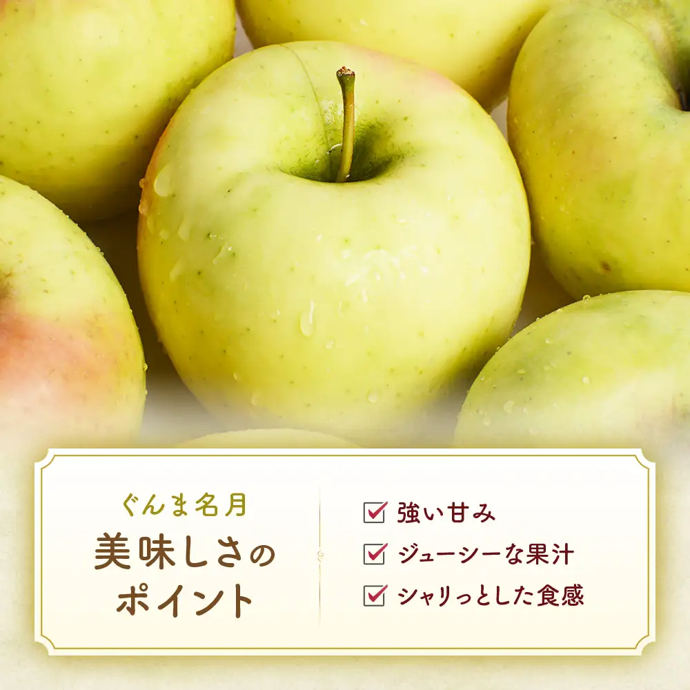 2026年発送 青森県産りんご ぐんま名月 約5kg りんご | 青森県三戸町