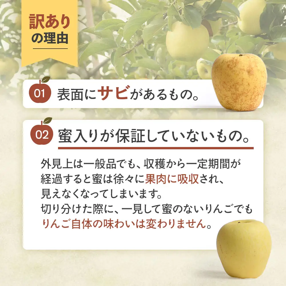 【訳あり】 青森県産りんご はるか 約5kg 12月上旬～ りんご