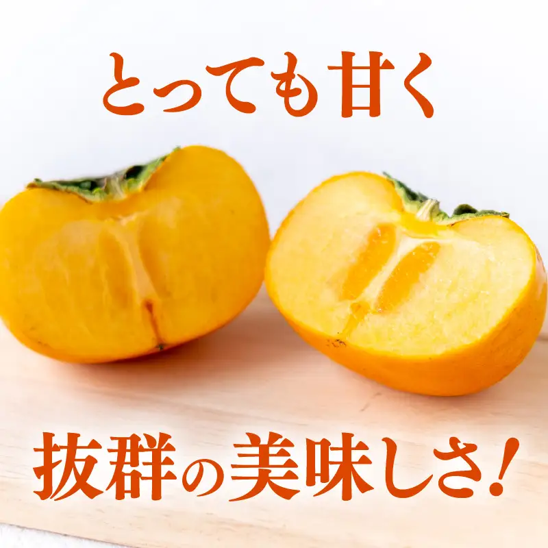 【先行予約】越前柿 16～20玉入 M～2L 《種なしで食べやすく甘い！》 あわらブランド ／ 期間限定 果物 フルーツ 産地直送 旬 お取り寄せ ※2026年10月中旬以降順次発送 [aw003-a006]