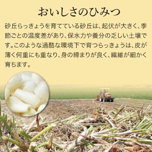 特別栽培らっきょうの甘酢漬（8袋セット）